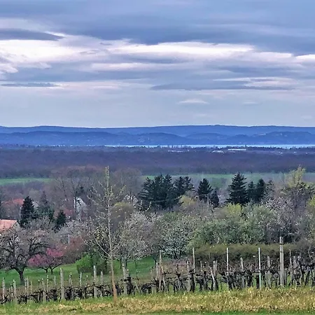 Cinegefeszek Nyaralohaz 度假居